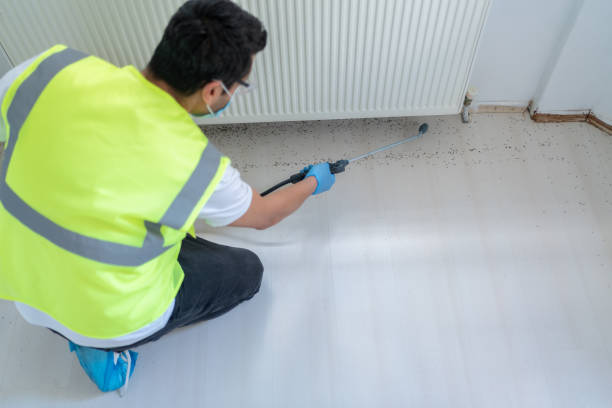 Best Fumigation Services  in Mcconnellstown, PA